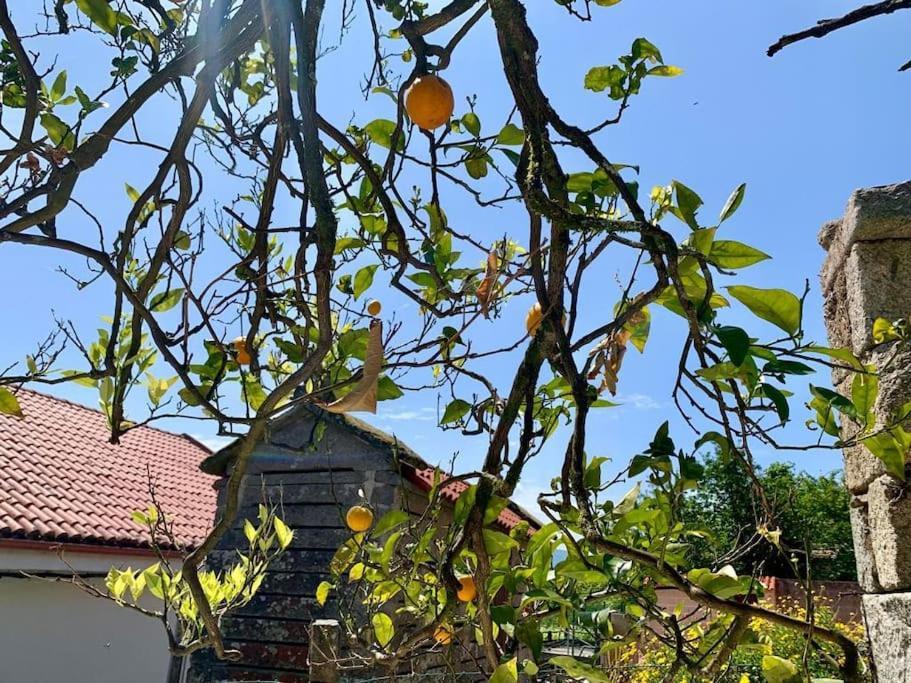 Casa Gerente Villa Muros Buitenkant foto
